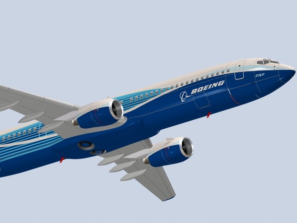 boeing dreamliner 3d obj - Boeing 737-900 ER Dreamliner by PedroFaut